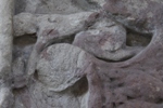 Meigle 2